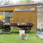 pferdehof südpark merseburg
