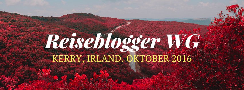 reiseblogger in einer wg in irland