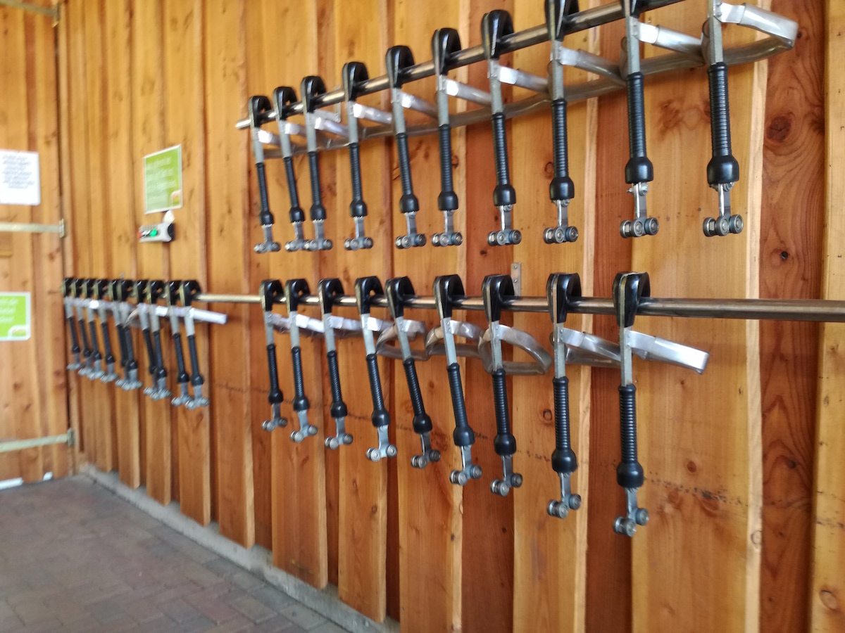 der start der sommerrodelbahn bocksbergbob in hahnenklee
