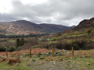 Anfang des Gap of Dunloe